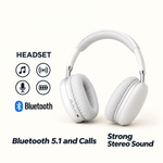 EchoWave P9 Wireless Headphones